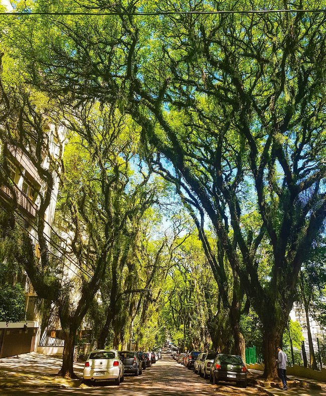 Admire the 25 most colorful streets in the world Picture 20