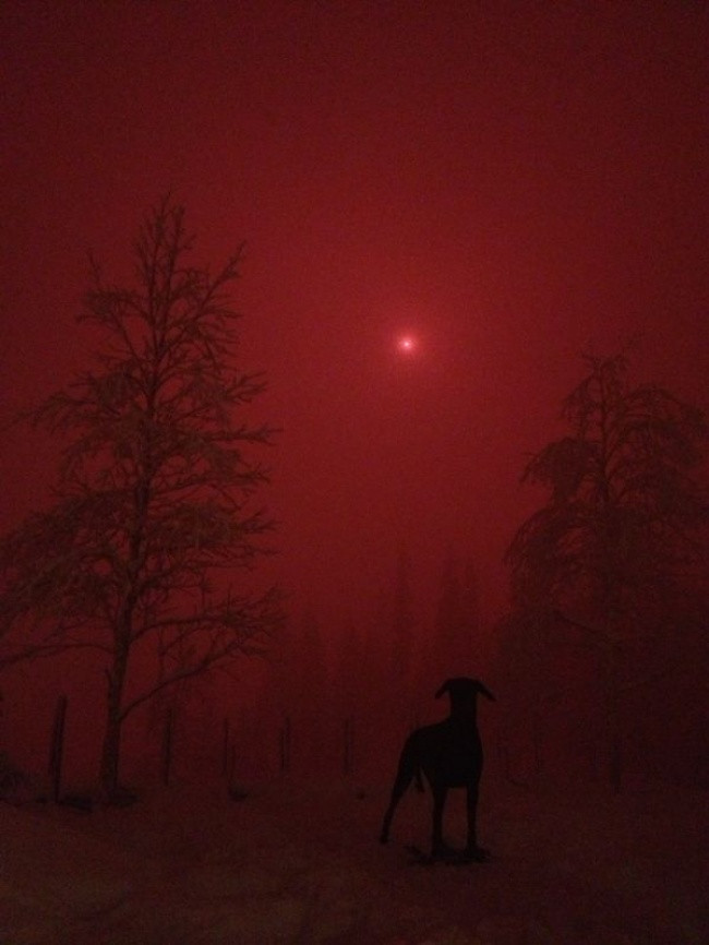 Admire the 26 beautiful everyday scenes like Photoshop Picture 20