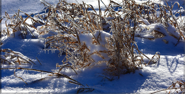 Admire the 26 beautiful everyday scenes like Photoshop Picture 24