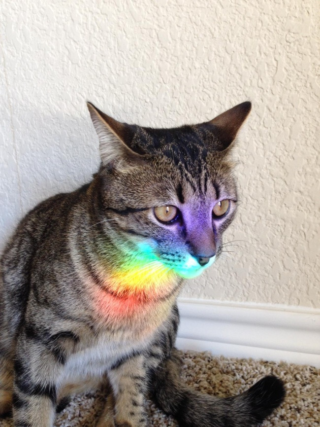 Admire the 26 beautiful everyday scenes like Photoshop Picture 9