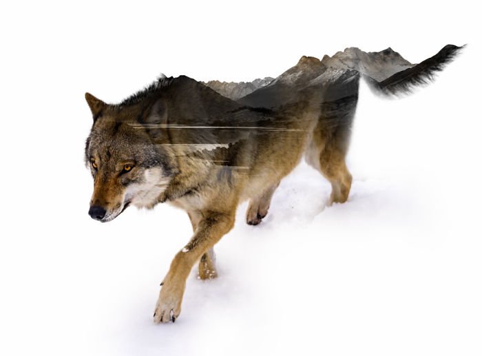 Admire the beautiful dual exposure wallpapers Picture 29