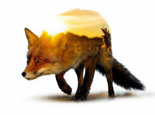 Admire the beautiful dual exposure wallpapers Picture 36