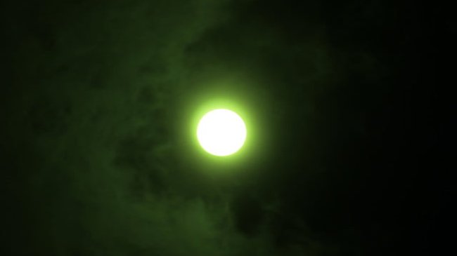 Admire the best images of the total solar eclipse on August 21 Picture 11