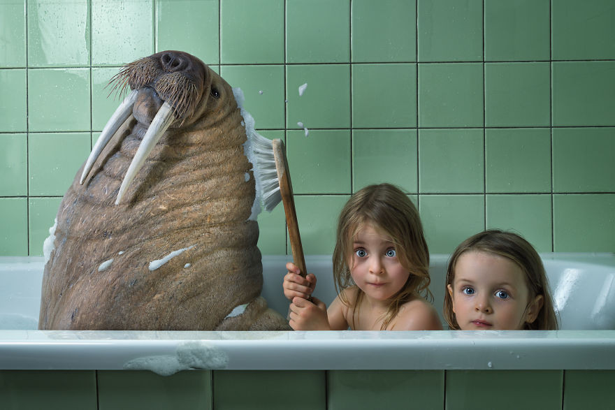 Admire the funny photos of family photographer John Willhelm! Picture 20