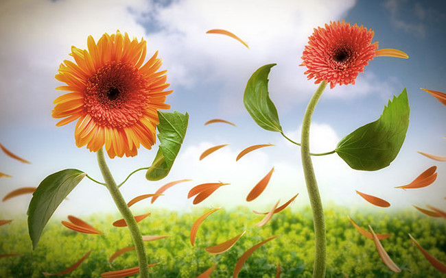 Admire the photograph of 'another real world' by animator ErAn Croitoru Picture 20