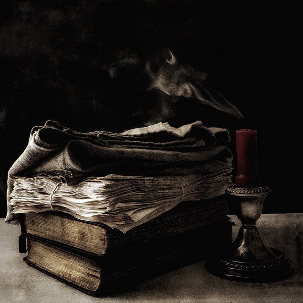 Admire the photos that won the iPhone Photography Award 2017 Picture 17