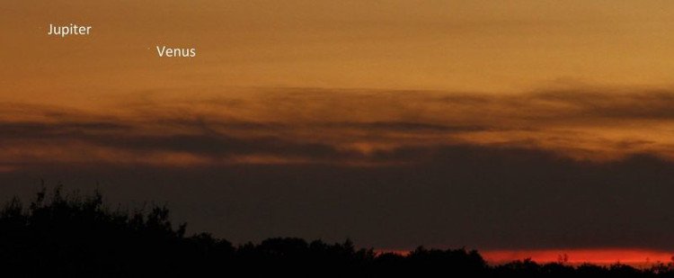 Admire the rare moment Venus and Jupiter 'meet' each other in the sky Picture 10