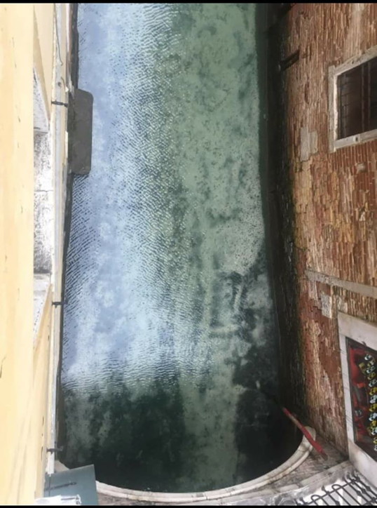After only a few days of blockade, the canals in Venice became crystal clear. Picture 2