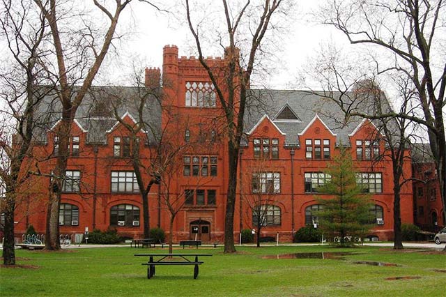 All in all, Satya Nadella - the architect of the Microsoft empire in the new era Picture 4