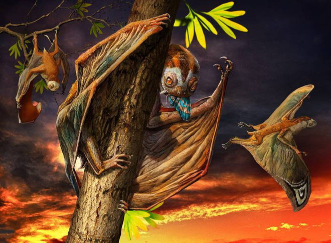Always hanging upside down on a tree like a bat, this is definitely the strangest ancient flying lizard ever existed in China. Picture 1