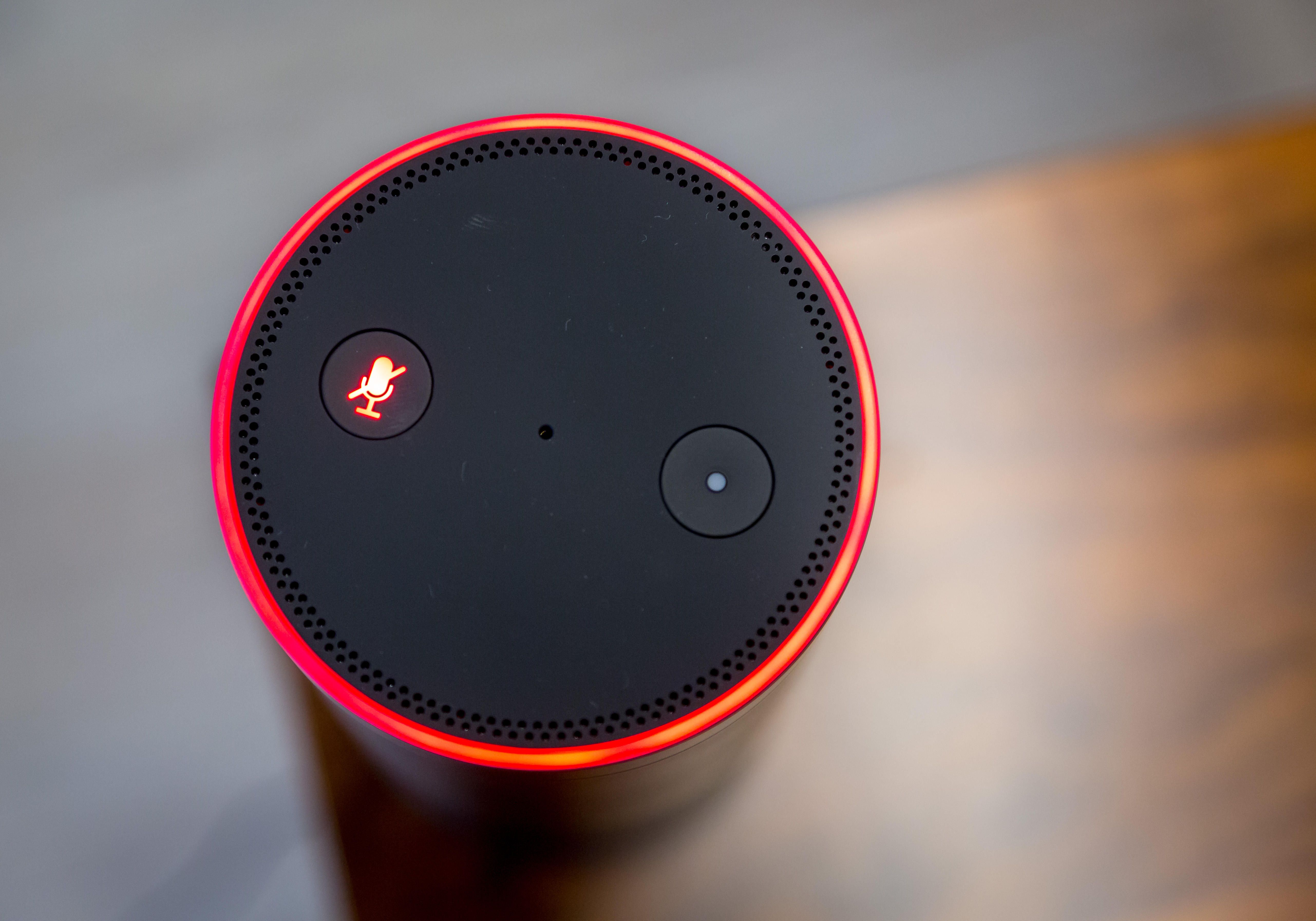 Amazon Echo: How to protect your privacy while working from home Picture 3