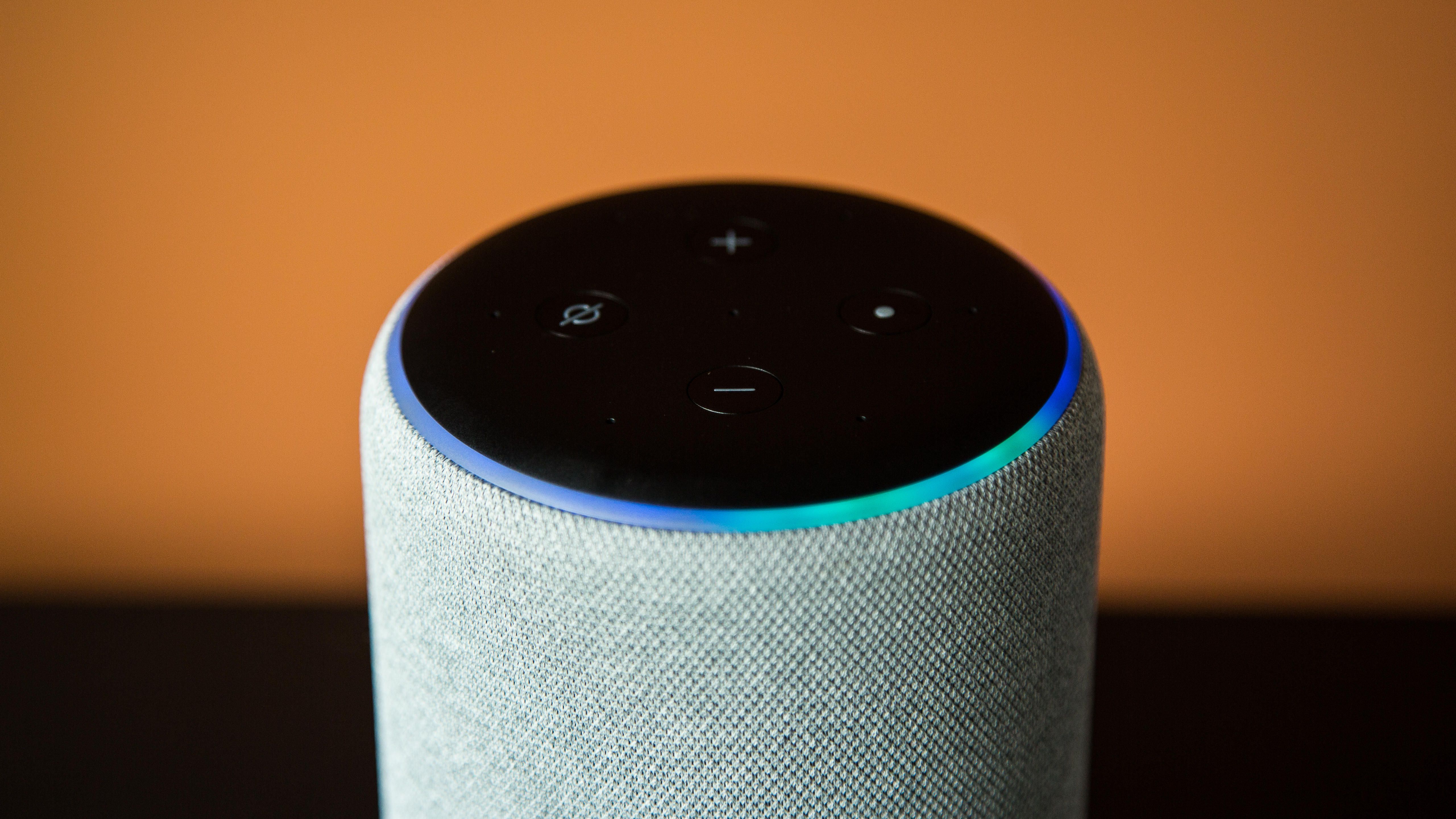 Amazon Echo: How to protect your privacy while working from home Picture 5