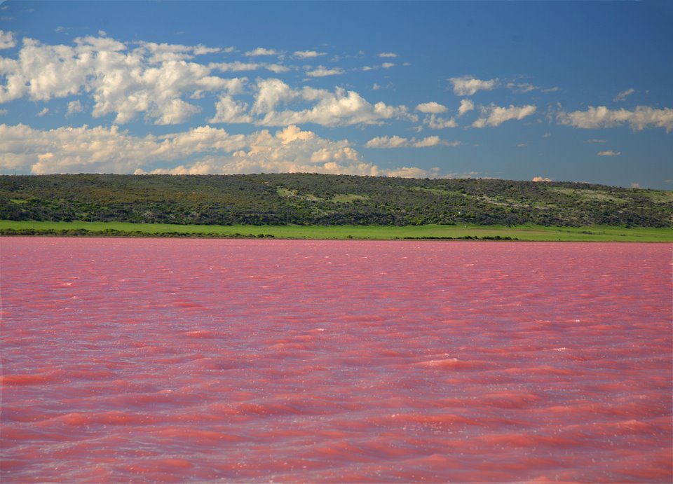 Ancient salt lake suddenly turned pink full of mystery in China Picture 5
