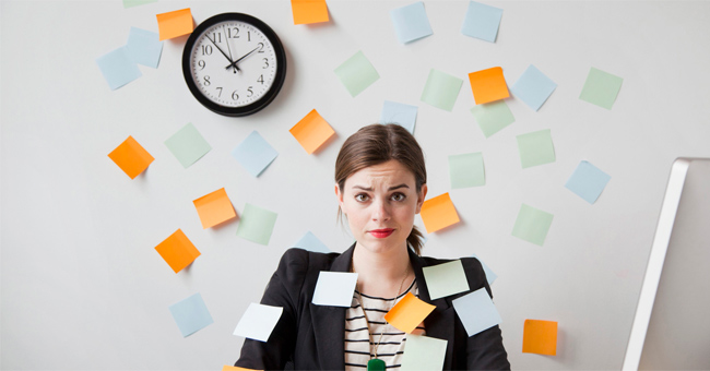 Ant, Lion and the story of management Picture 3