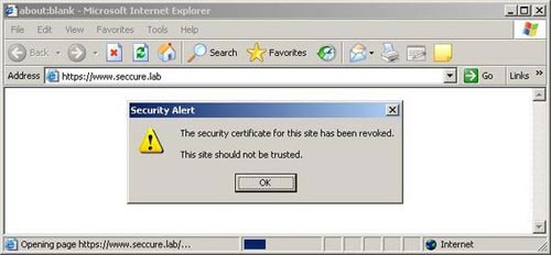 Apache 2 supports SSL / TLS: Step-by-step instructions (continued Part II) Picture 3