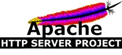 Apache 2.0 with SSL / TLS protocol: Step by step instructions Picture 3