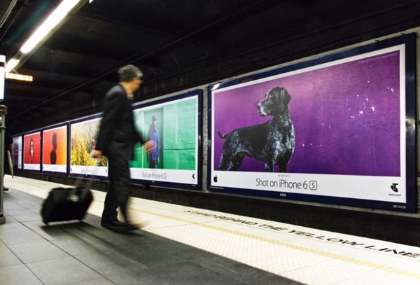 Apple plans to use the image of a user in a global photo contest but fails Picture 2