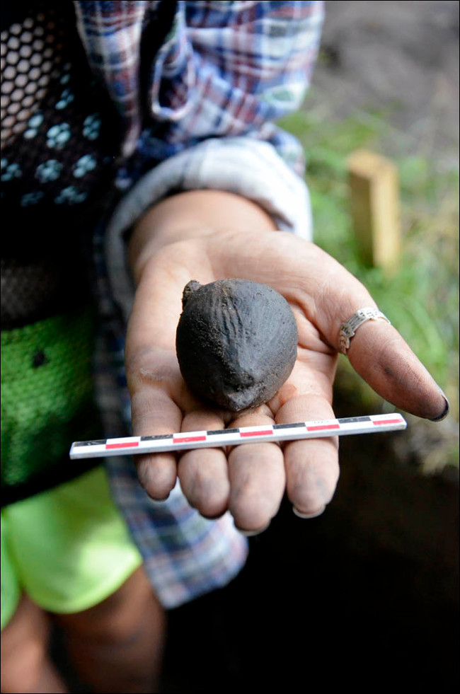 Archeology finds 4000 year old bear head clay toys Picture 4