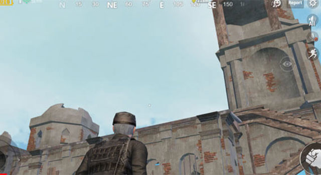 Areas where pets appear in PUBG Mobile Picture 1