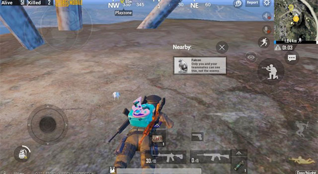 Areas where pets appear in PUBG Mobile Picture 2