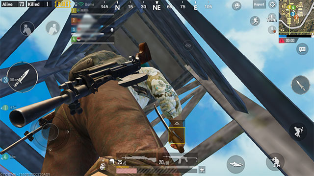 Areas where pets appear in PUBG Mobile Picture 5