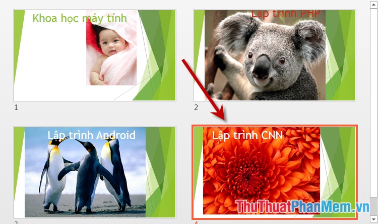 Arrange the slides in PowerPoint Picture 8