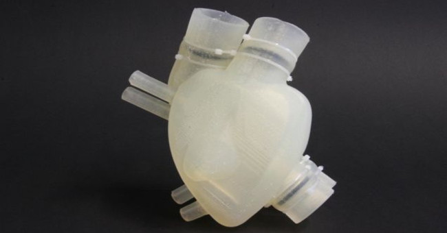 Artificial 3D printed hearts work almost like human hearts Picture 1