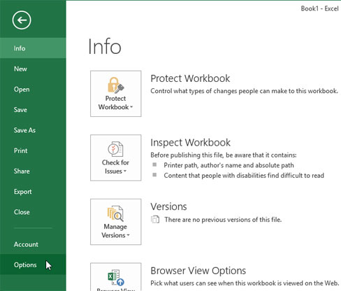 Assign shortcuts to icons in Excel 2013 Picture 7