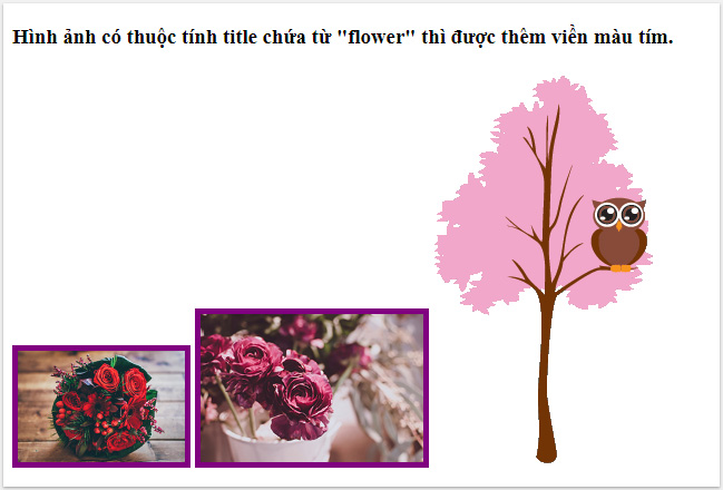 Attribute Selector - Attribute Selector in CSS Picture 3