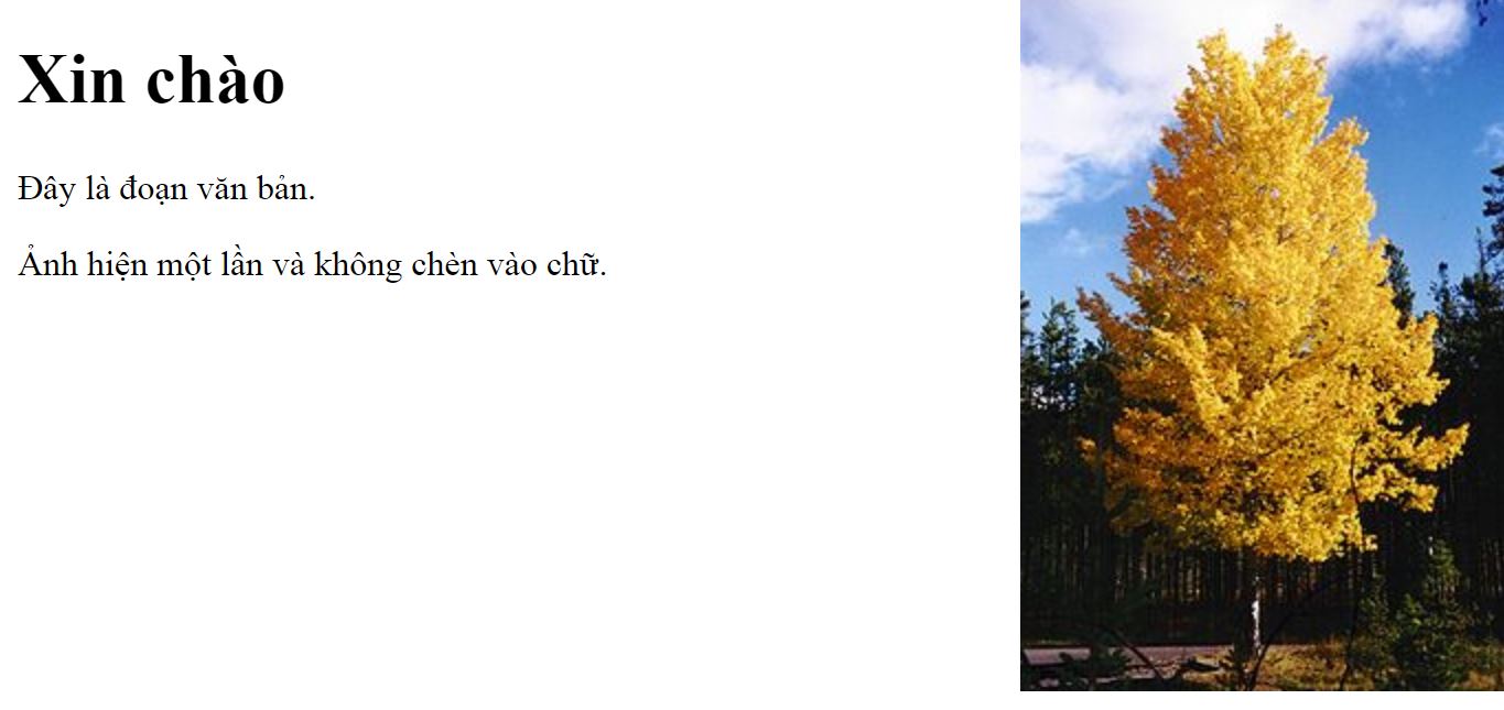 Background in CSS Picture 2