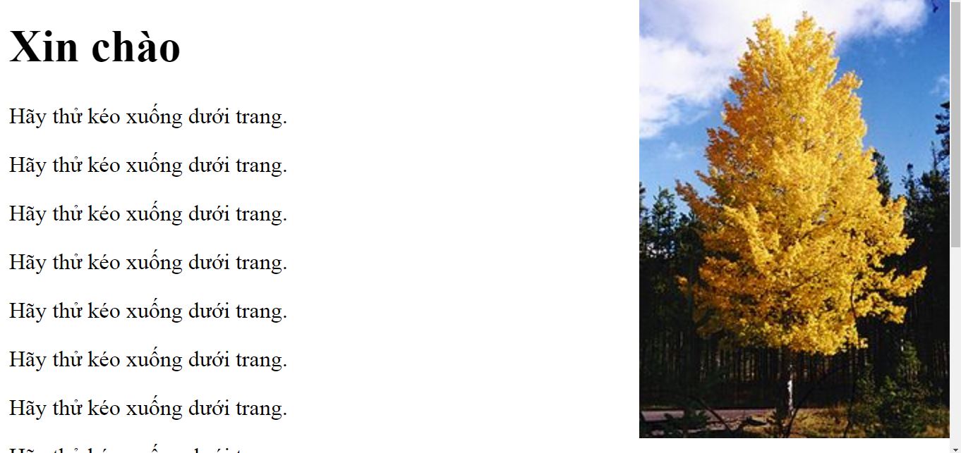 Background in CSS Picture 3