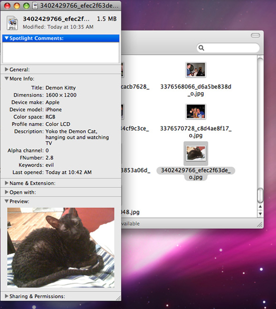 Backup photos online to your hard drive for safe storage Picture 6