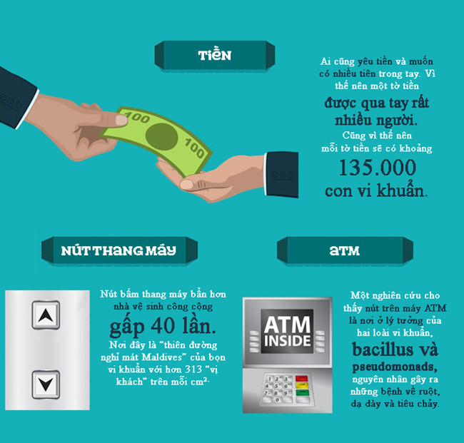Bacteria are not far away, they live with you every day Picture 5