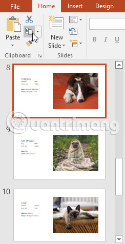 Basic information about slides in PowerPoint 2016 Picture 11