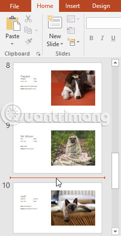 Basic information about slides in PowerPoint 2016 Picture 12