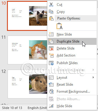 Basic information about slides in PowerPoint 2016 - TipsMake.com