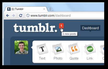 Basic steps to create a blog with Tumblr Picture 17