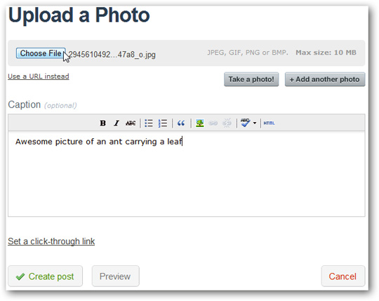 Basic steps to create a blog with Tumblr Picture 6