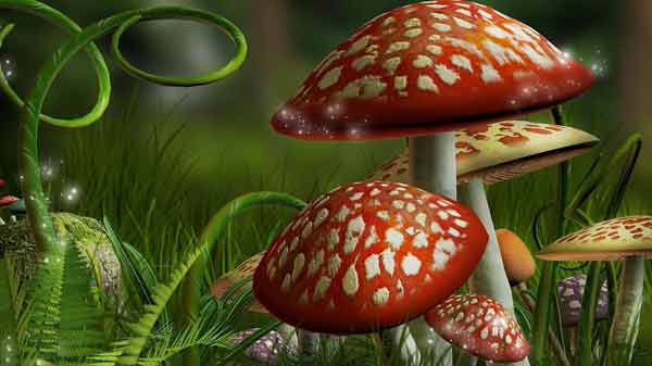 Beautiful 3D wallpaper set for computers Picture 4