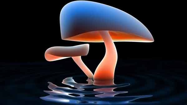 Beautiful 3D wallpaper set for computers Picture 6