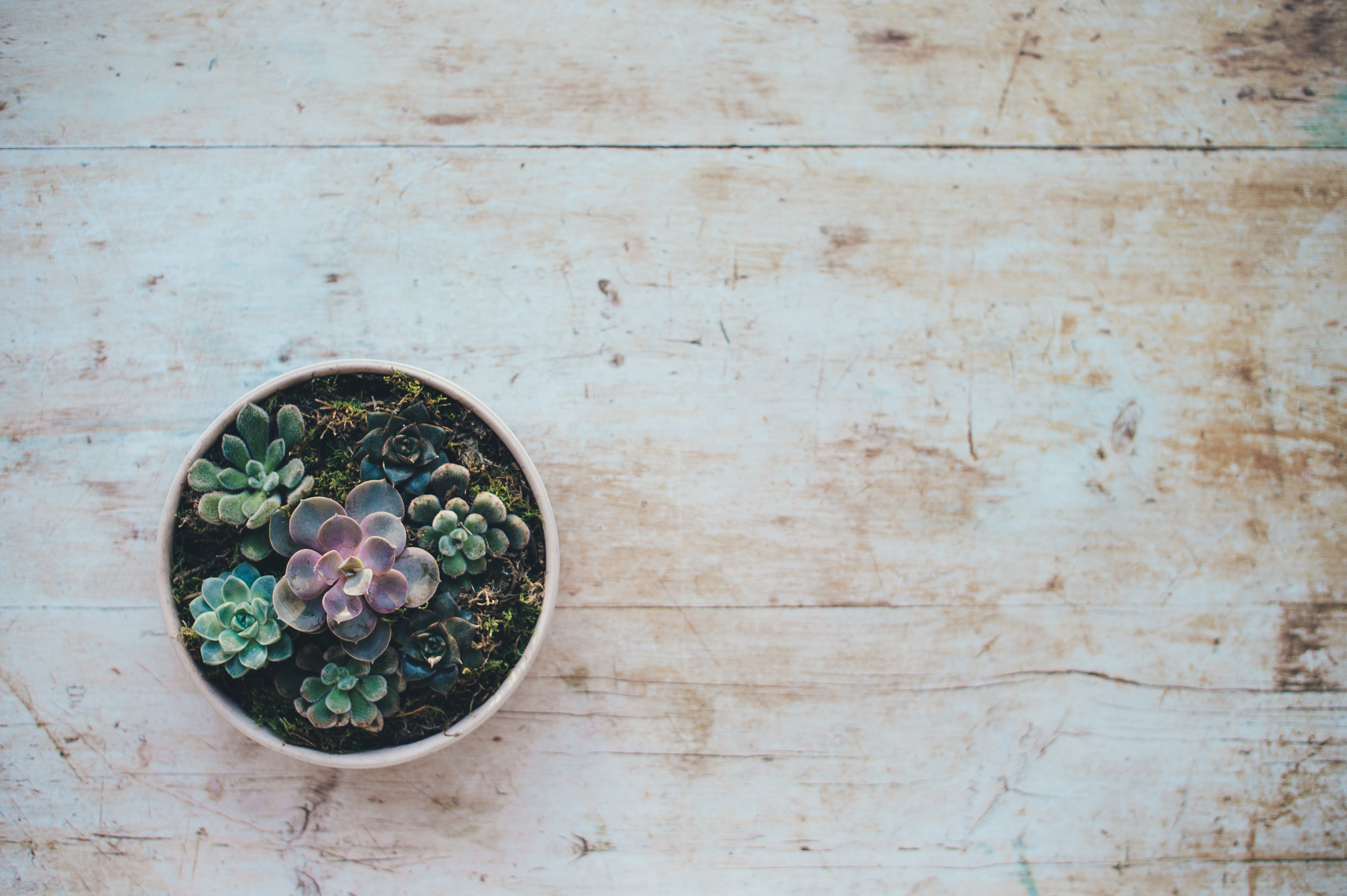 Beautiful background for Photoshop Picture 48