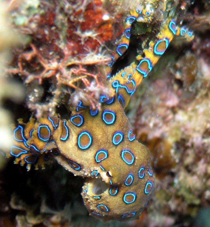 Beautiful cracked walls of the most heterologous colors of the earth Picture 8