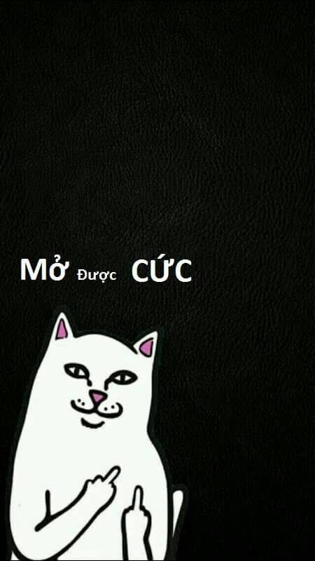 Beautiful, exclusive, cool phone unlocking wallpapers Picture 13