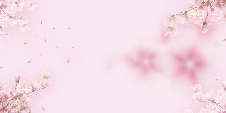 Beautiful pink background Picture 16