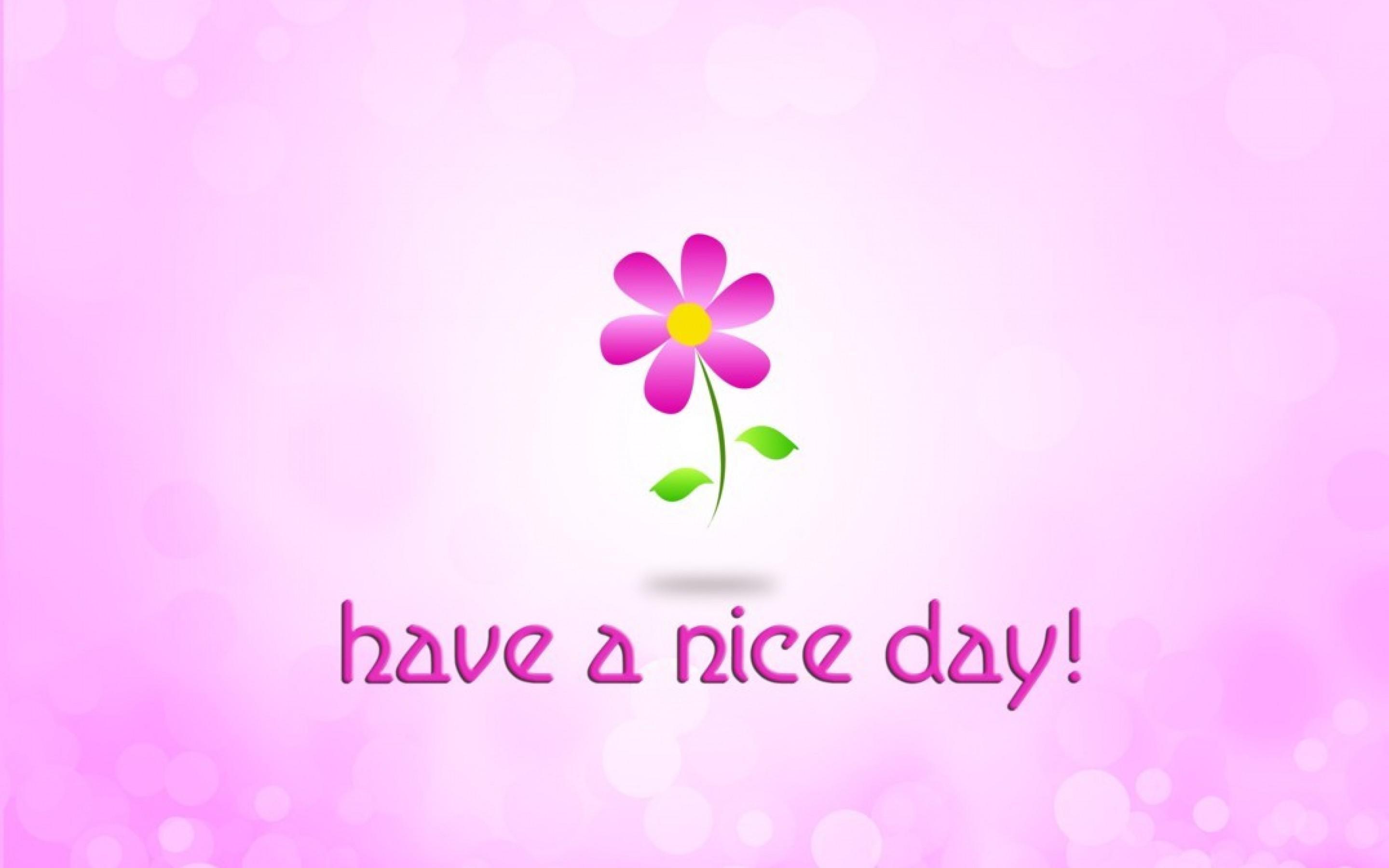 Beautiful pink background Picture 35