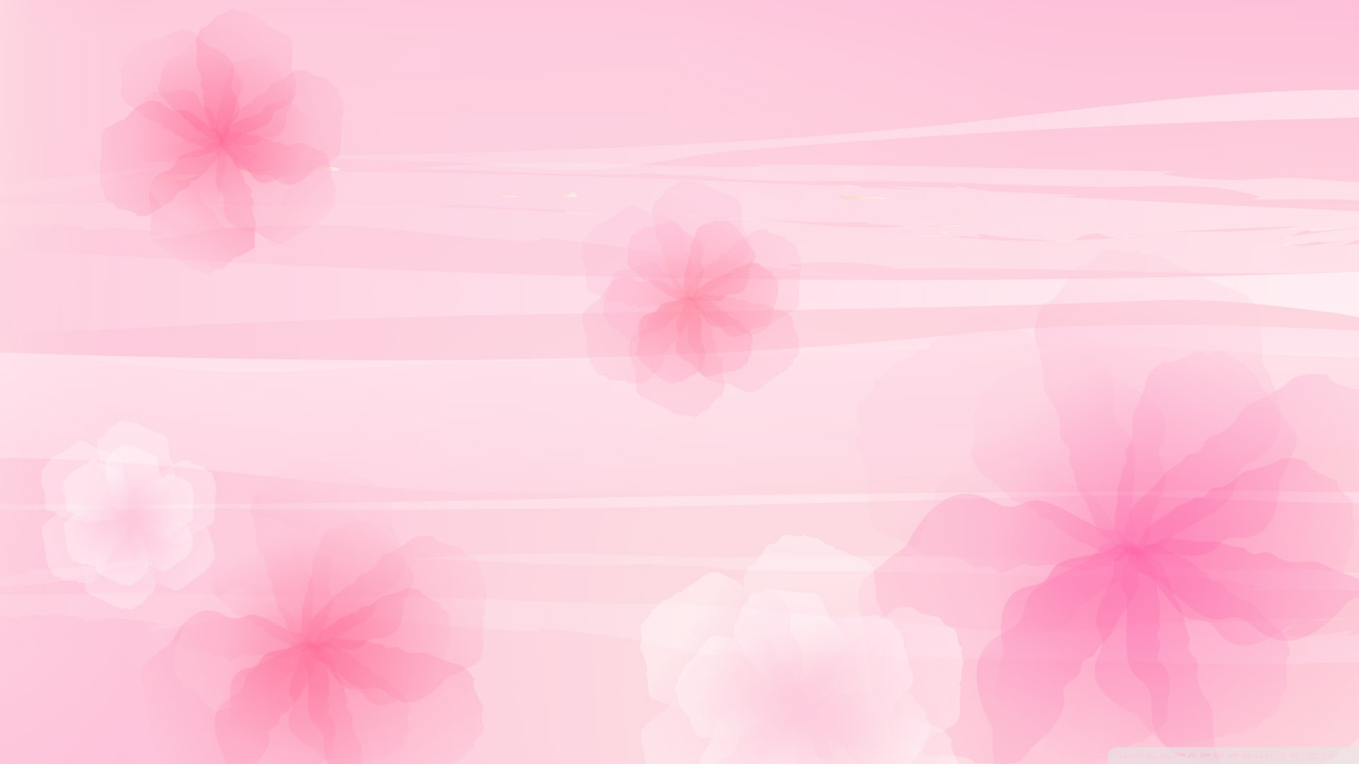 Beautiful pink background Picture 46