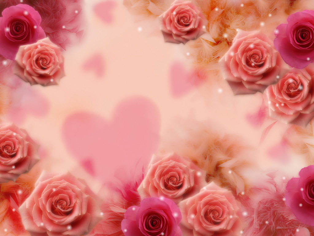 Beautiful rose background Picture 23