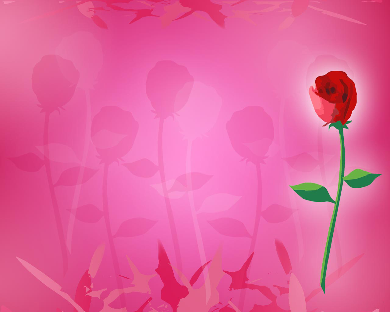 Beautiful rose background Picture 34