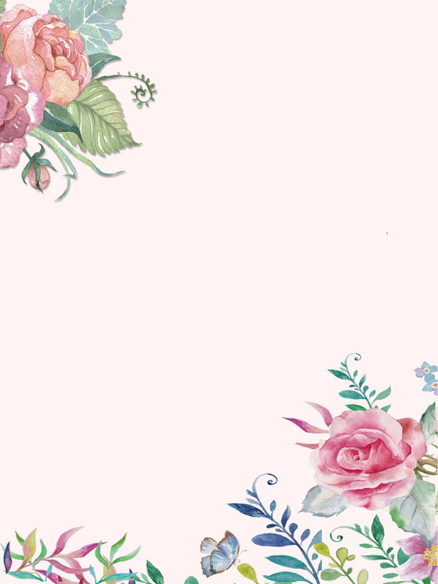 Beautiful rose background Picture 37