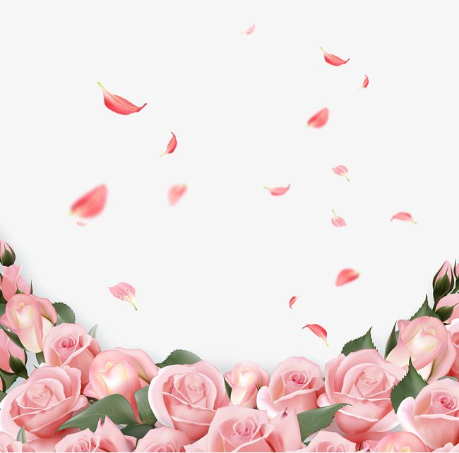 Beautiful rose background Picture 49
